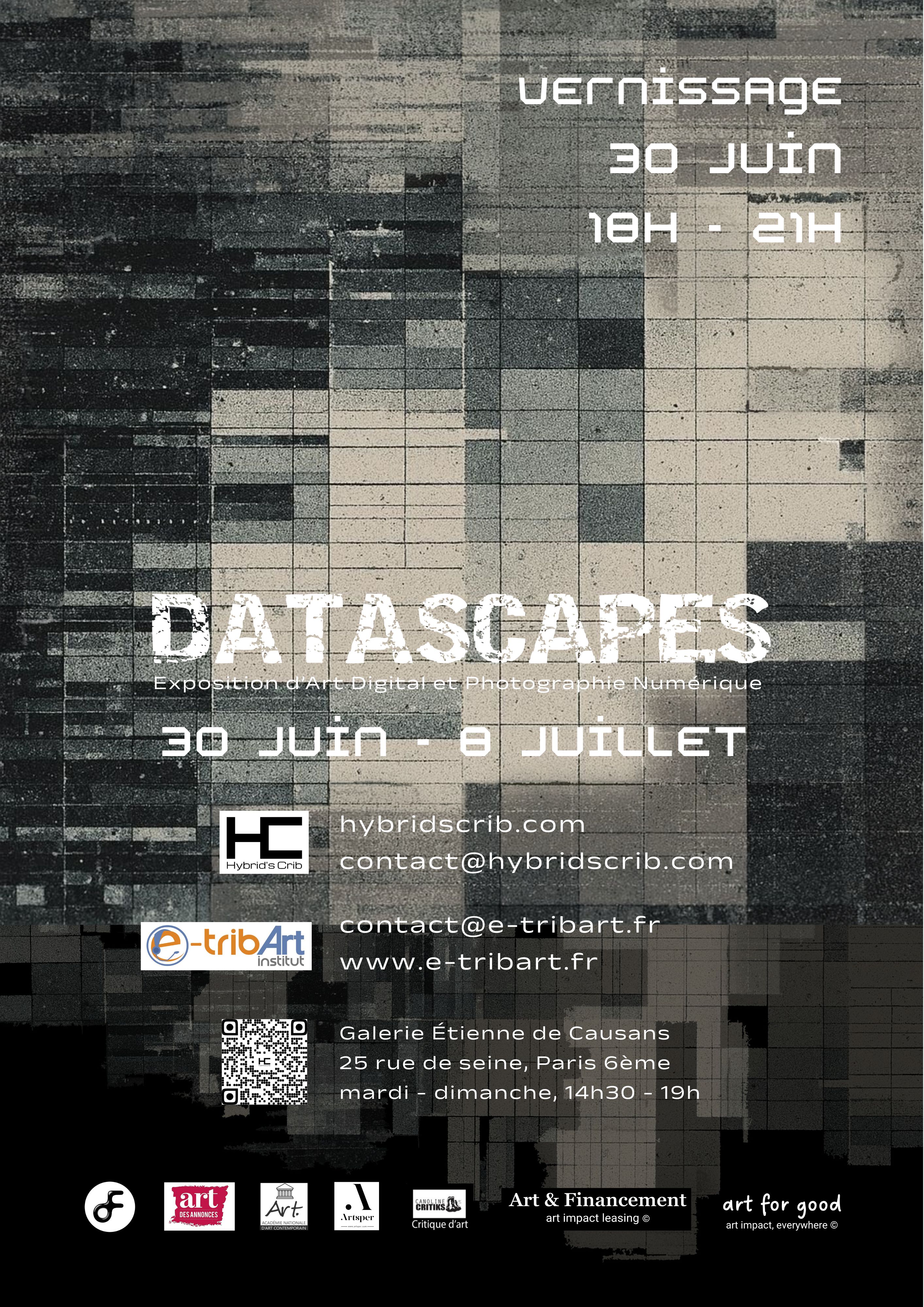 Affiche Datascapes